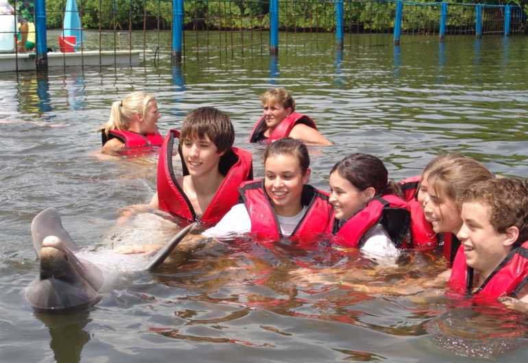 swimming-with-dolphins-tour-01