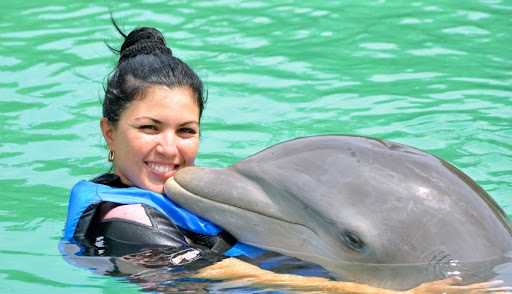 swimming-with-dolphins-tour-02